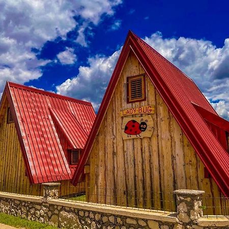 Cottage Bumblebee Zabljak  Exterior photo