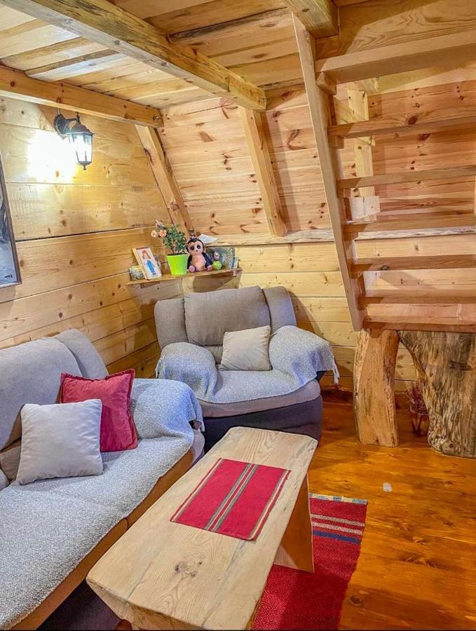 Cottage Bumblebee Zabljak  Exterior photo